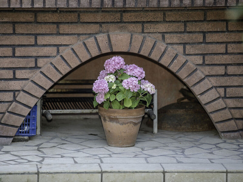 Apartmány 1355-6825