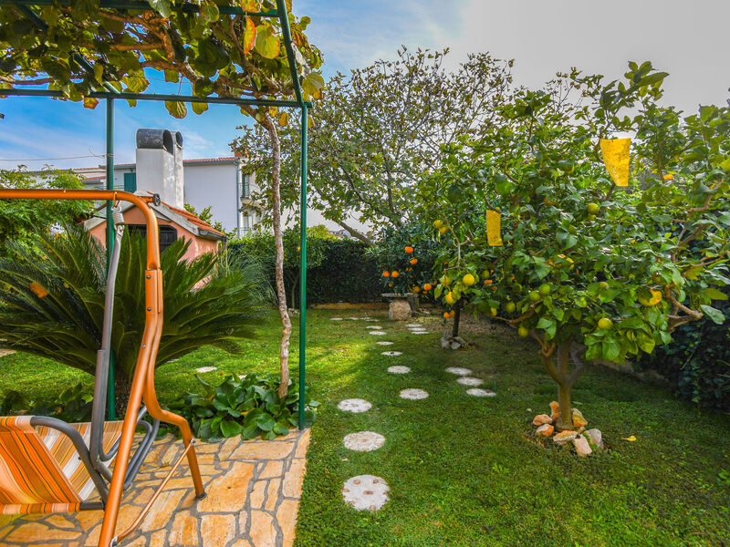 Apartmány 1355-6937