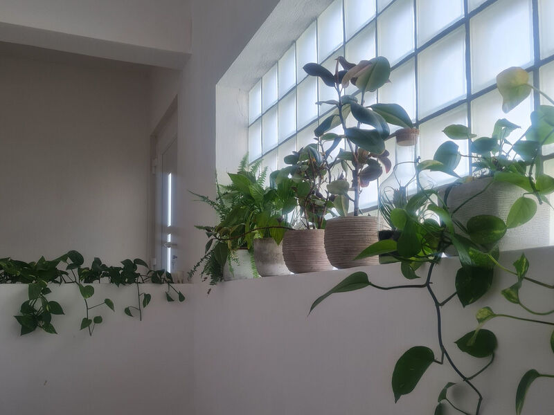Apartmány 1355-6977