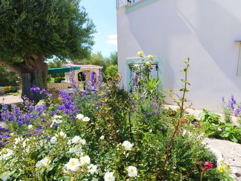 Apartmány 1355-6994