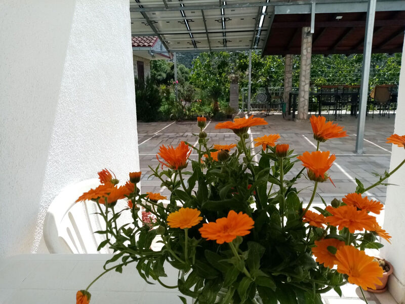 Apartmány 1355-7013