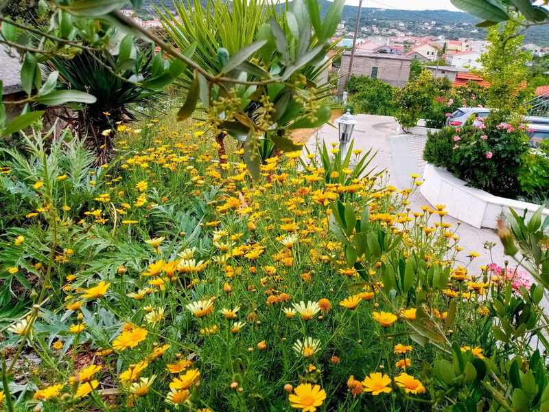 Apartmány 1355-7013