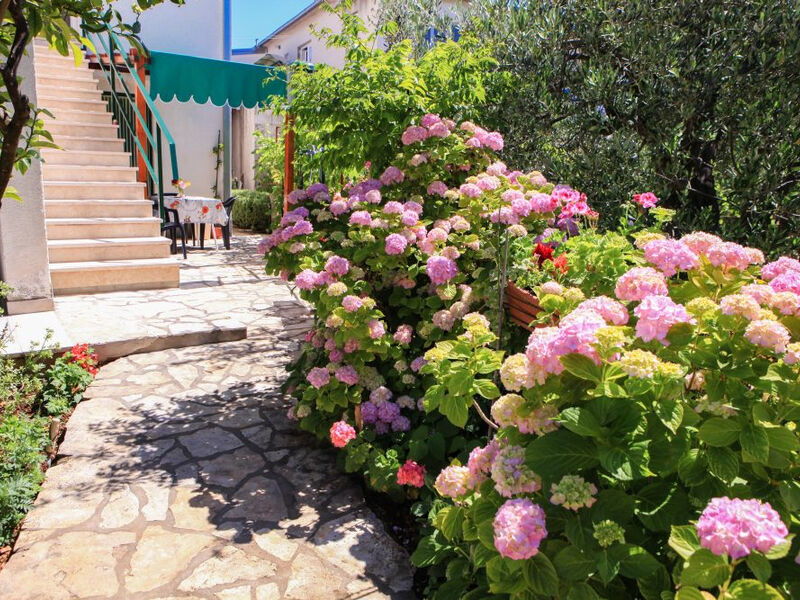 Apartmány Plavica