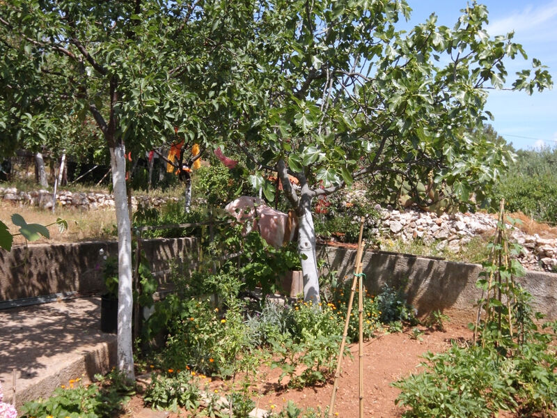 Apartmány 3298-7580