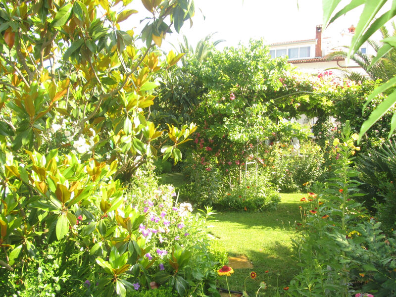 Apartmány 3298N-7703