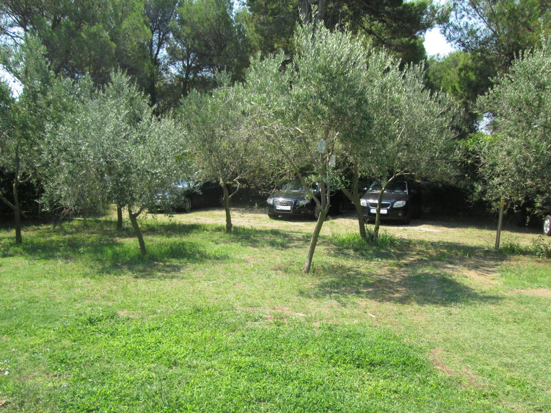 Apartmány 3298N-7703