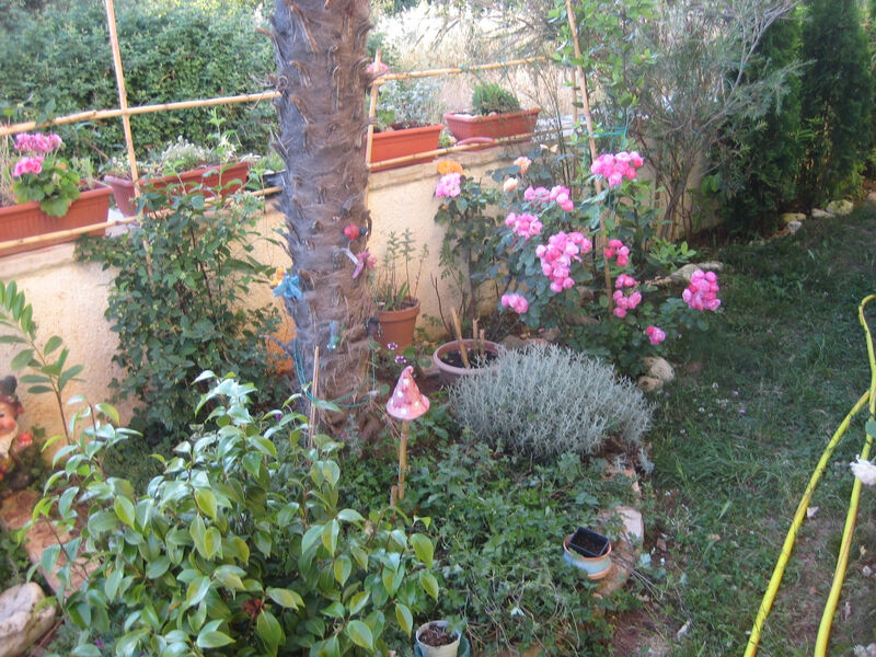 Apartmány 3298N-7831
