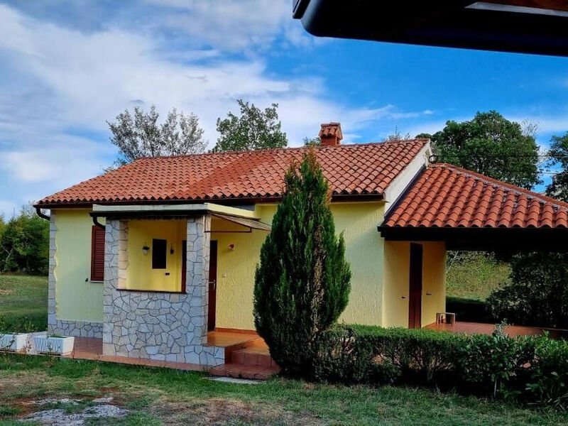 Robinzonáda 1355-7239