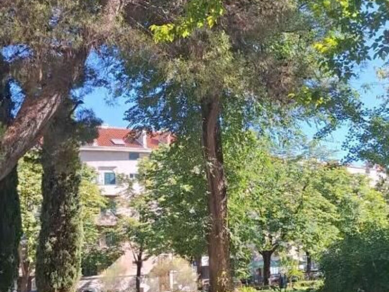Apartmány 1355-7289