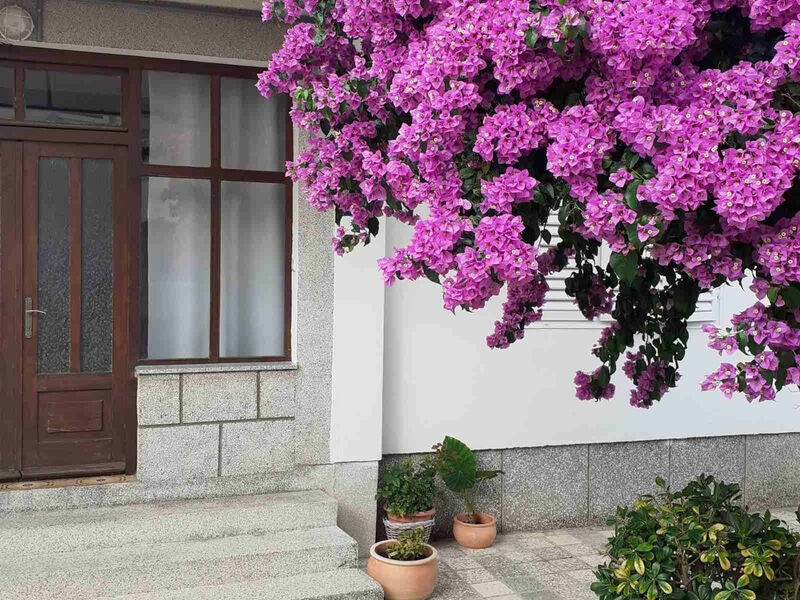 Apartmány 3298N-7970