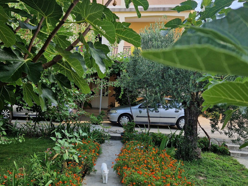 Apartmány 3298N-8091