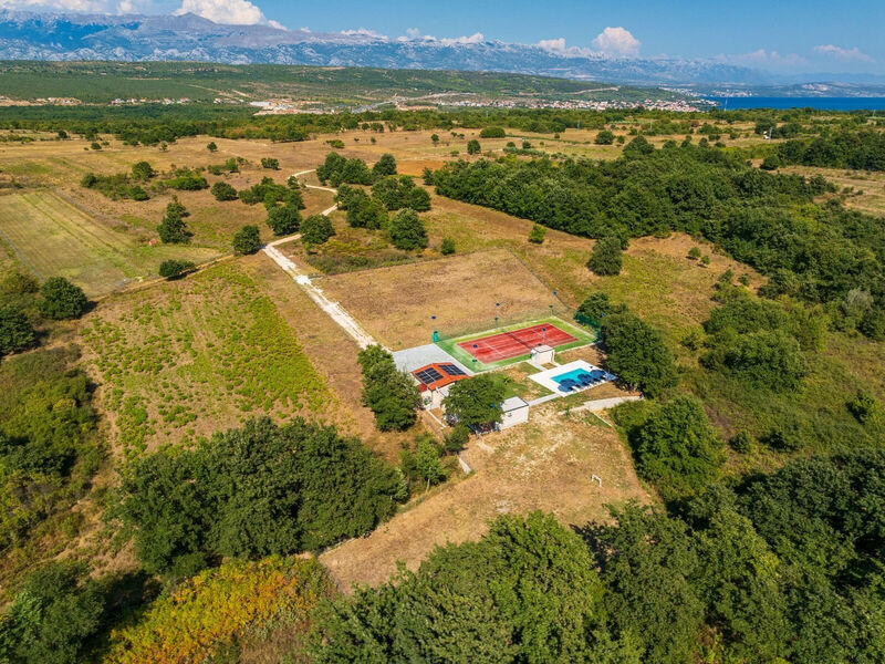 Robinzonáda 1355-7494
