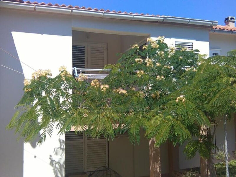 Apartmány 1355-7558