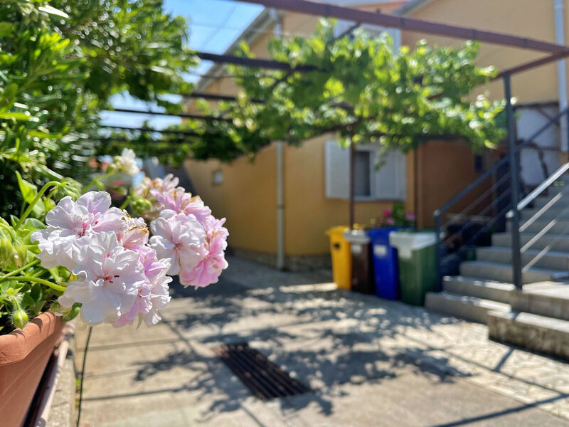 Apartmány 1355-7645