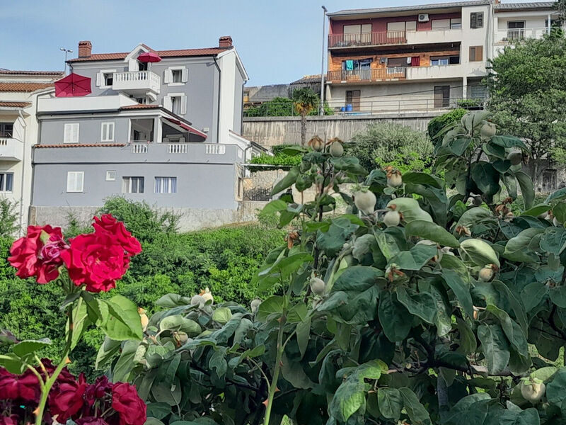 Apartmány 1355-7681
