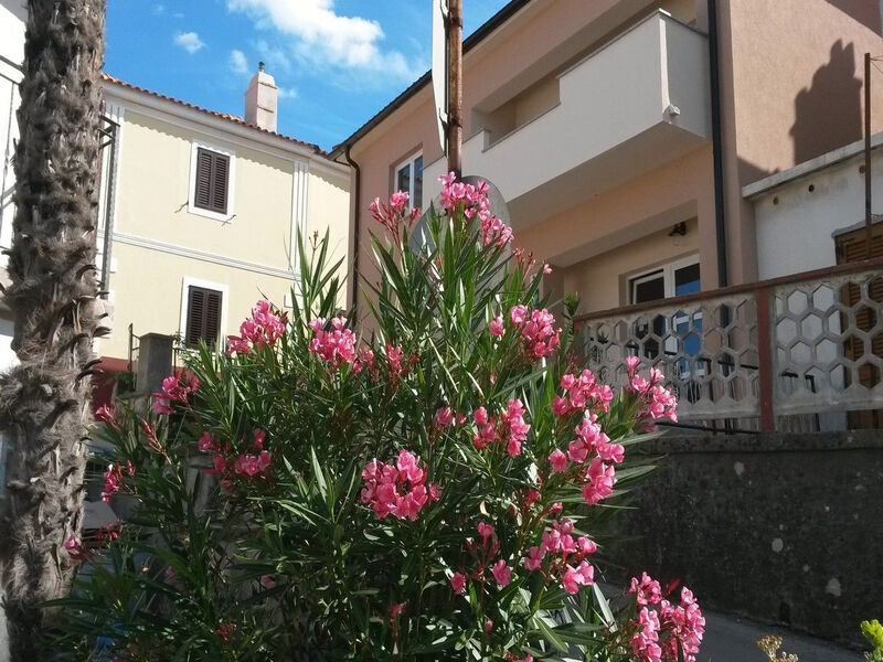 Apartmány 1355-7683
