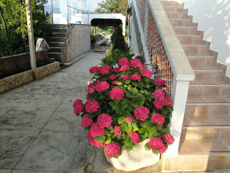 Apartmány 1355-7688