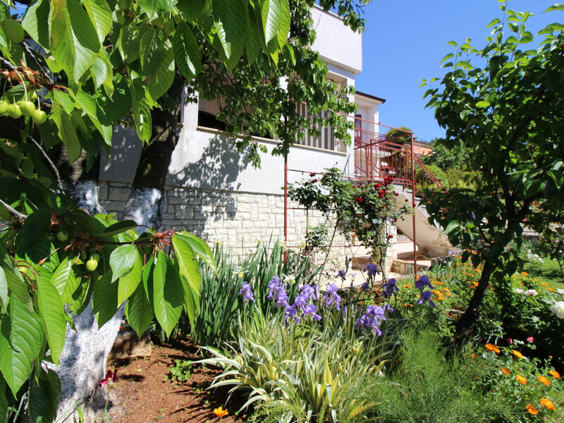 Apartmány 1355-7752