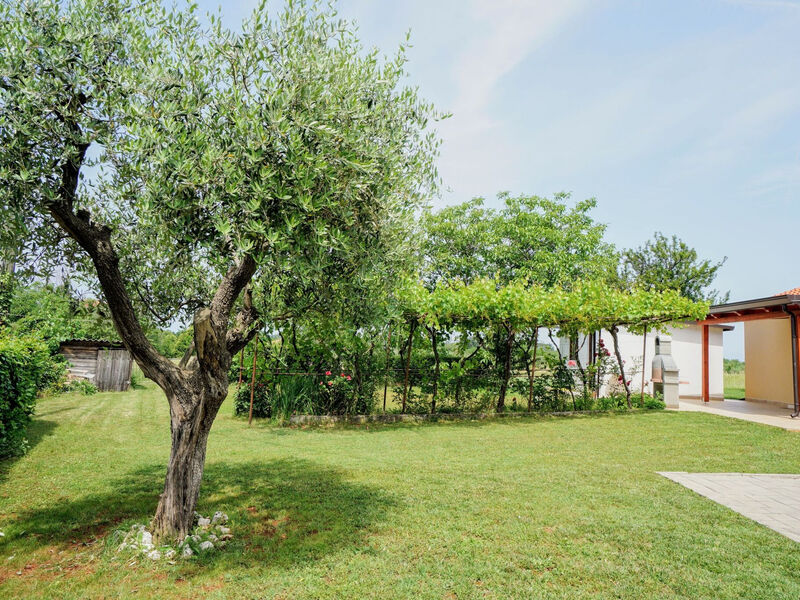Apartmány 1355-7781