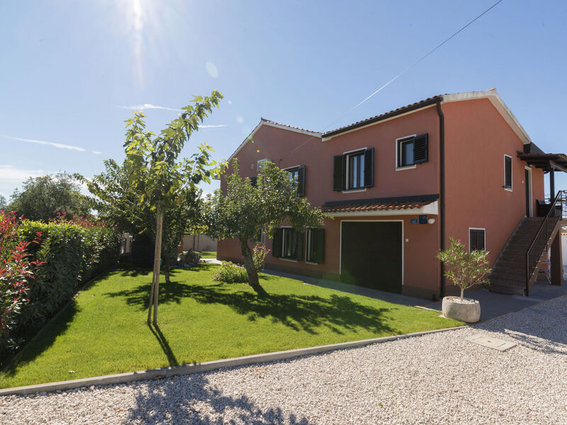 Vila 1355-7784
