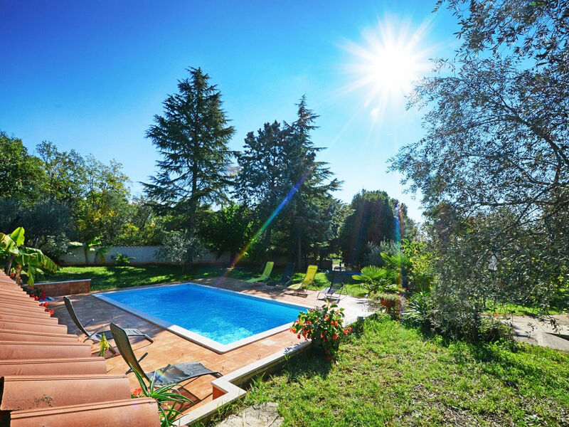 Apartmány 1355-7802