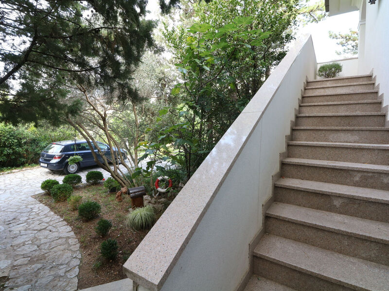 Apartmány 1355-7836