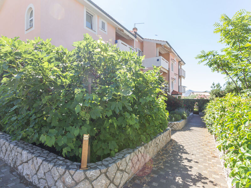 Apartmány 1355-7842