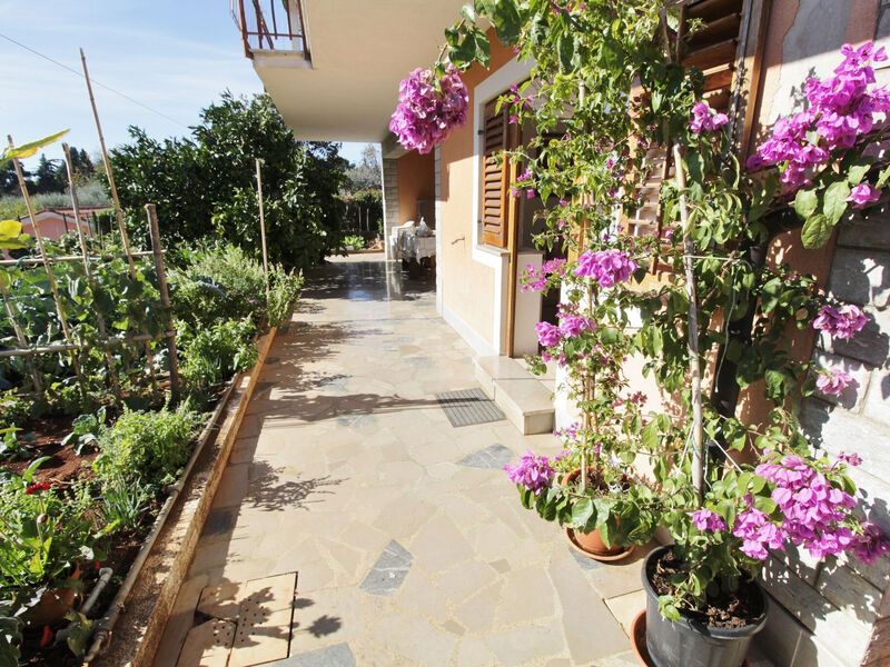 Apartmány 1355-7863