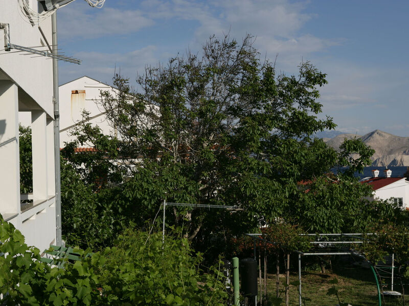 Apartmány 1355-7879