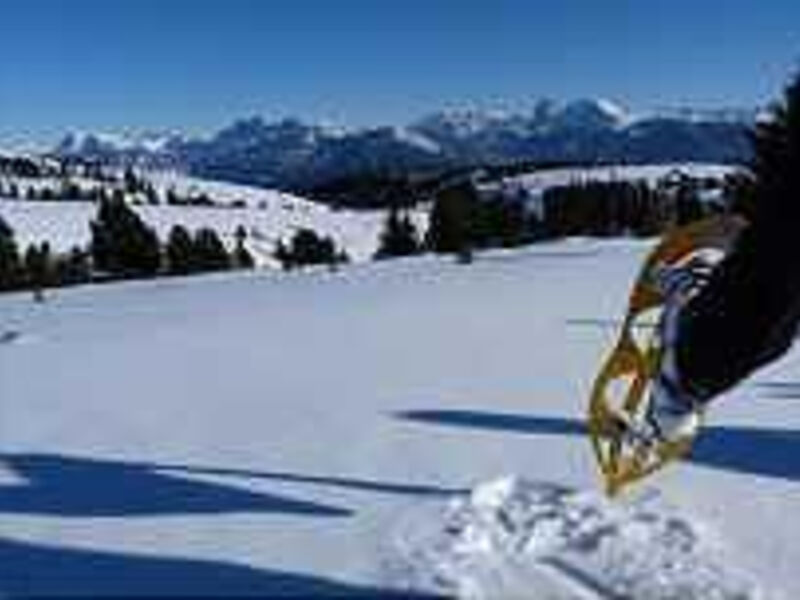 Panorama Wellnesshotel Feldthurnerhof