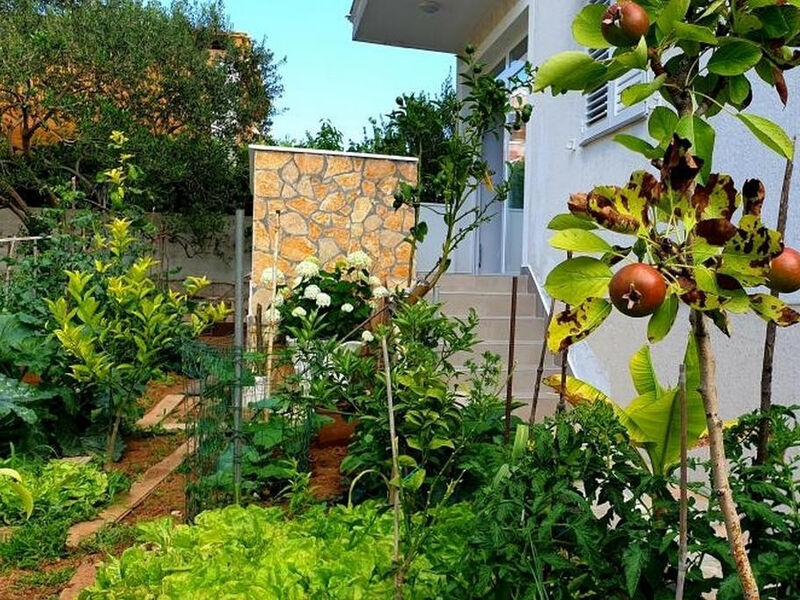 Apartmány 3298N-8374