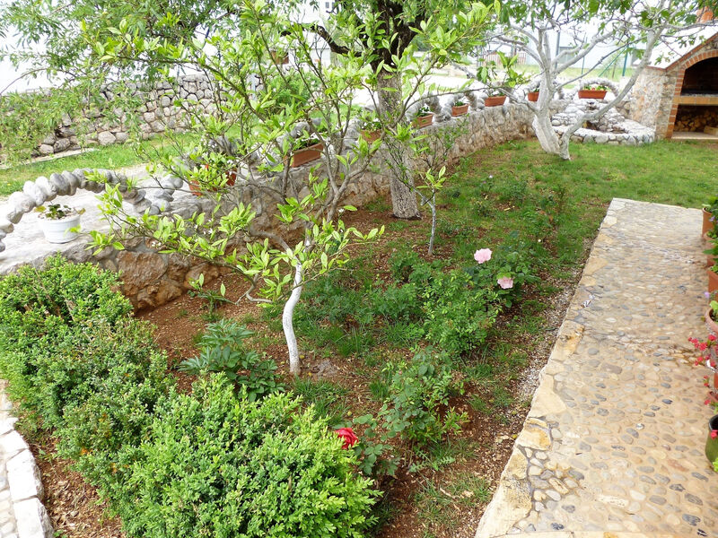Apartmány 3298N-8416