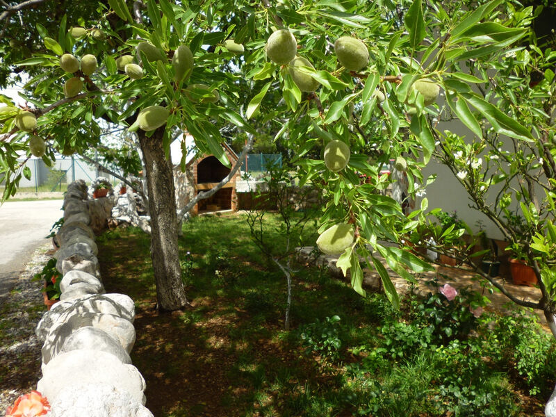 Apartmány 3298N-8416