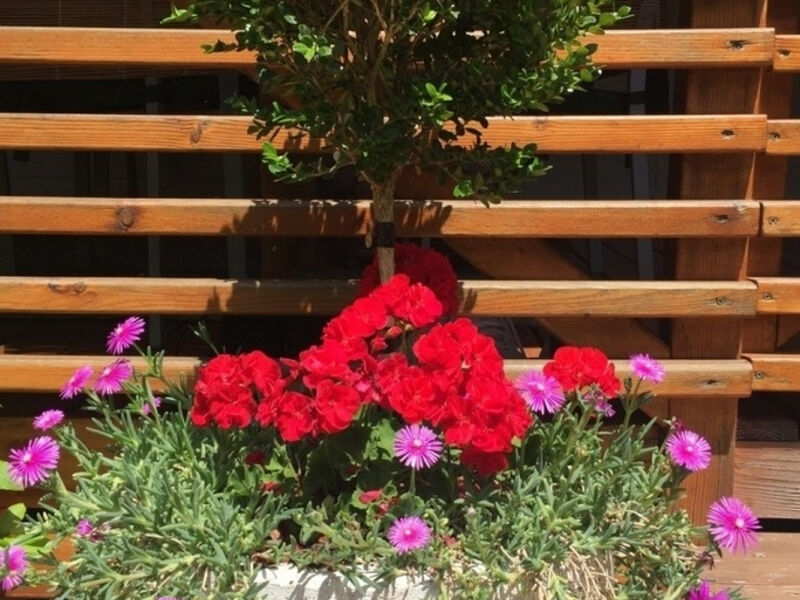 Apartmány 3298N-8433