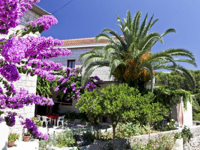 Apartmán Zehra