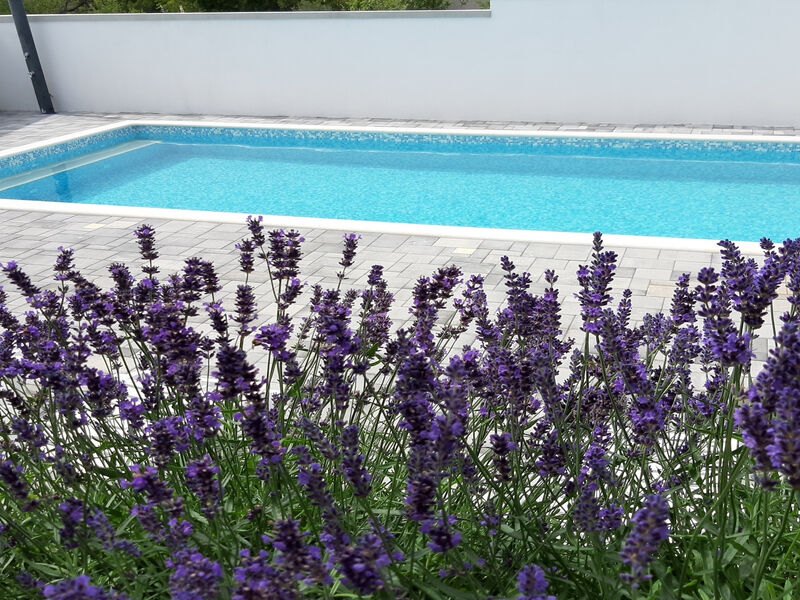 Apartmány 3298N-8506