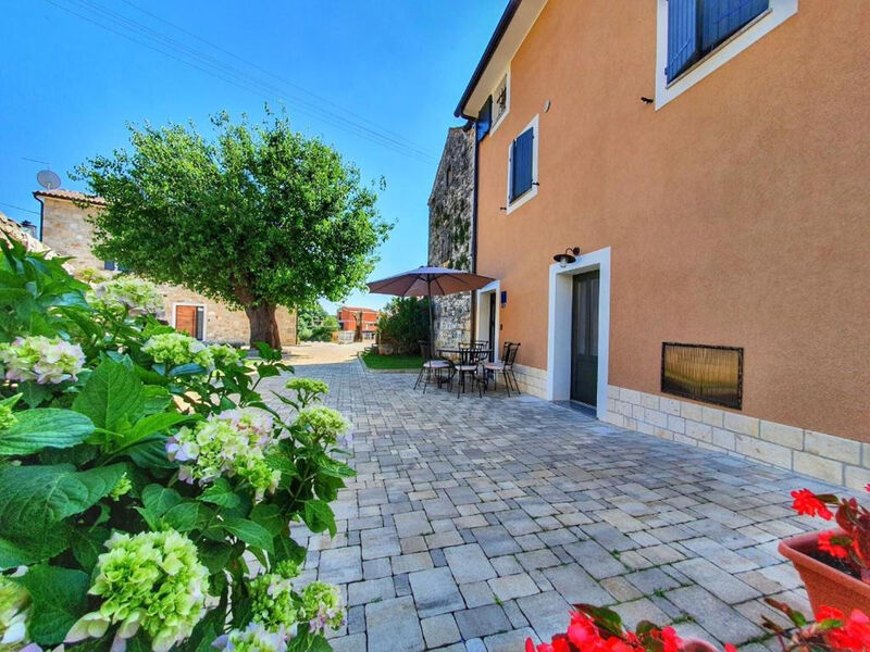 Apartmány 1355-7954