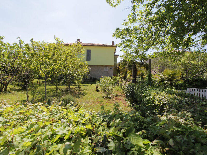 Apartmány 1355-7976