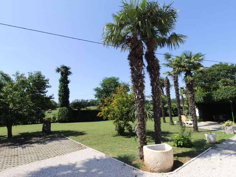 Apartmány 1355-7994