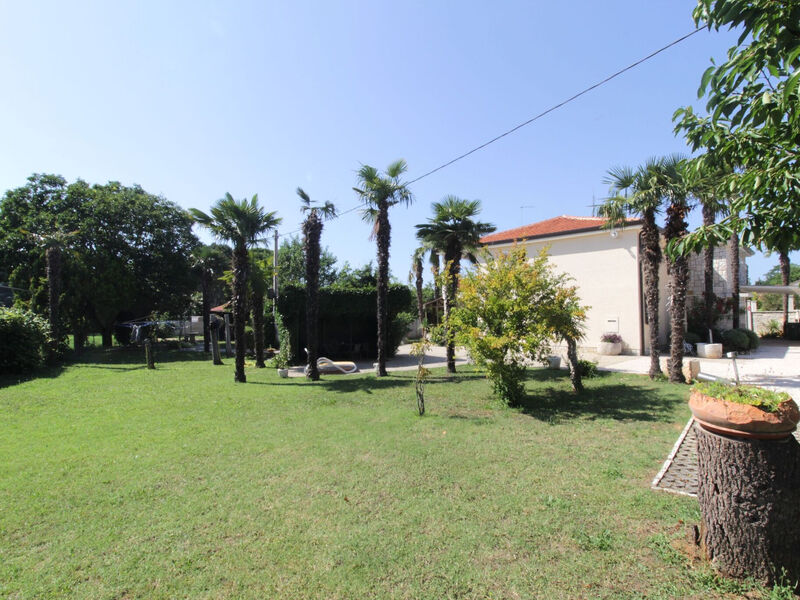 Apartmány 1355-7994