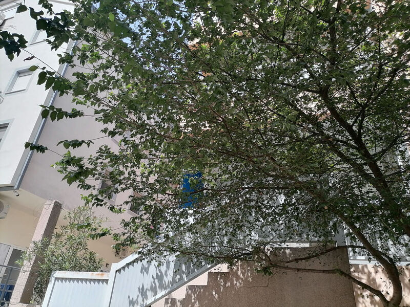 Apartmány 1355-8060