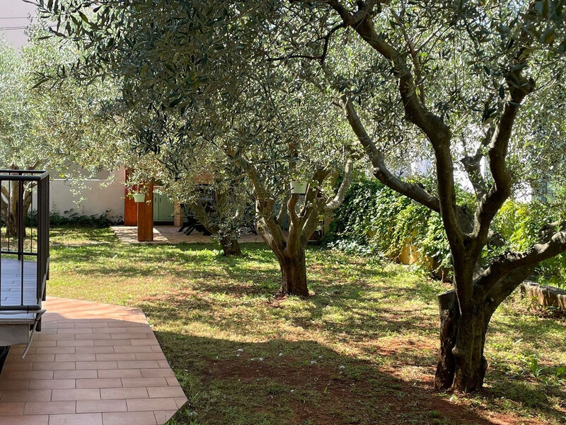 Apartmány 3298N-8541