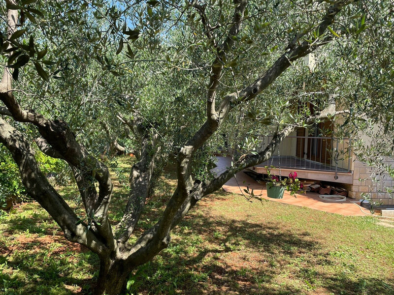 Apartmány 3298N-8541