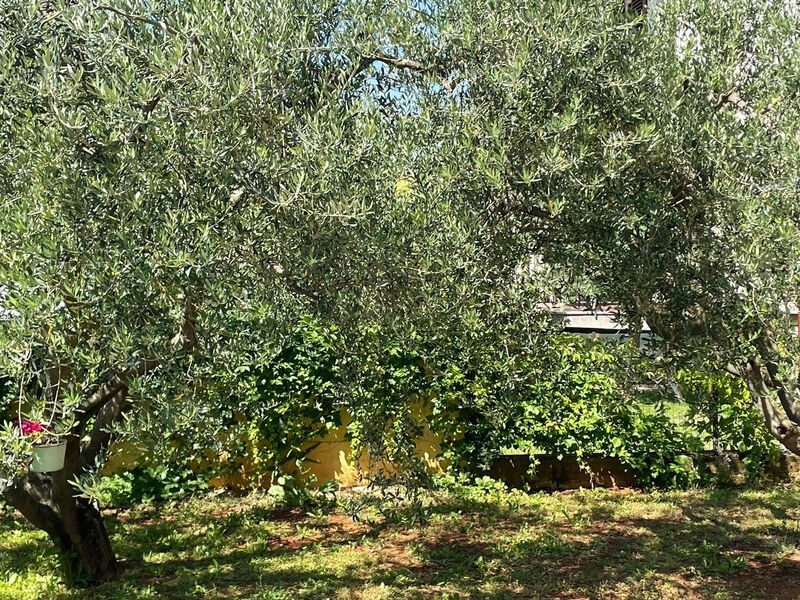 Apartmány 3298N-8541