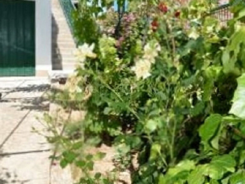 Apartmány 1355-8103