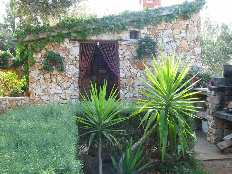 Apartmány Suzana
