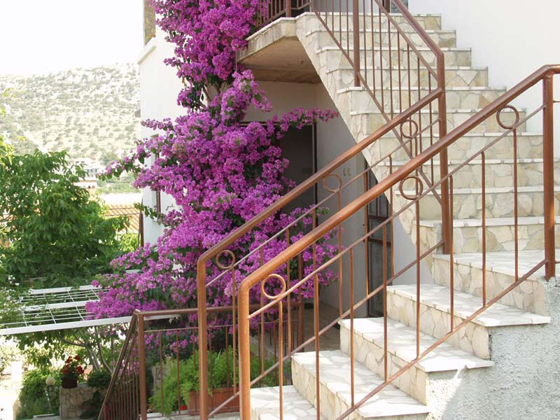 Apartmány Anica