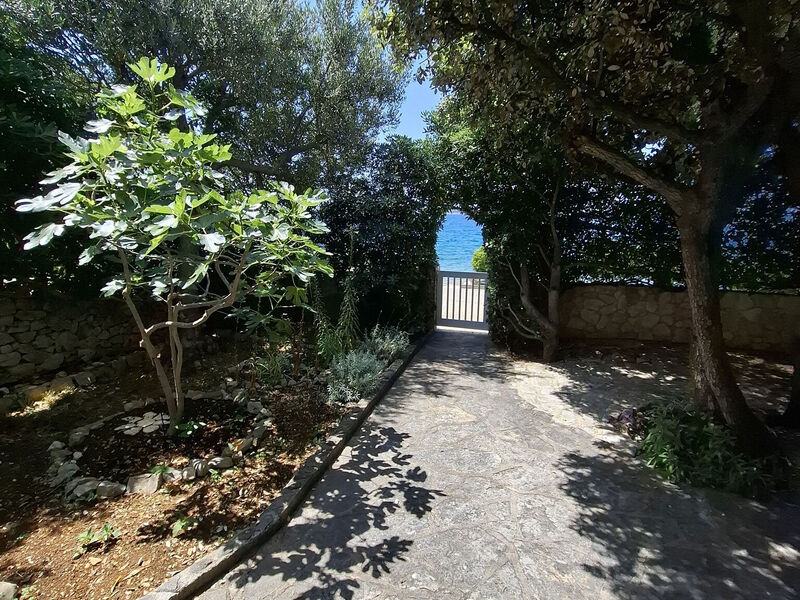Apartmán Anzulet