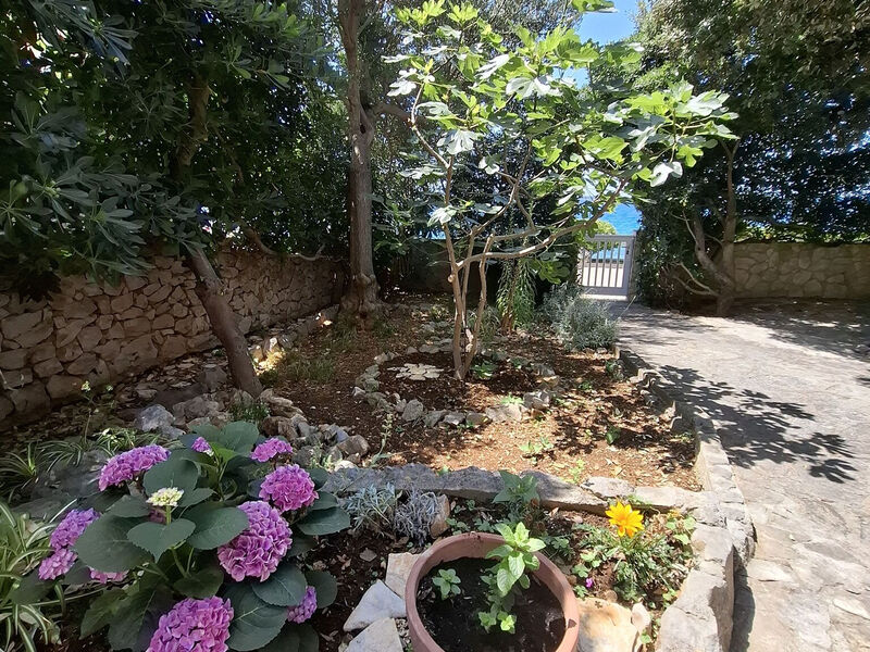 Apartmán Anzulet