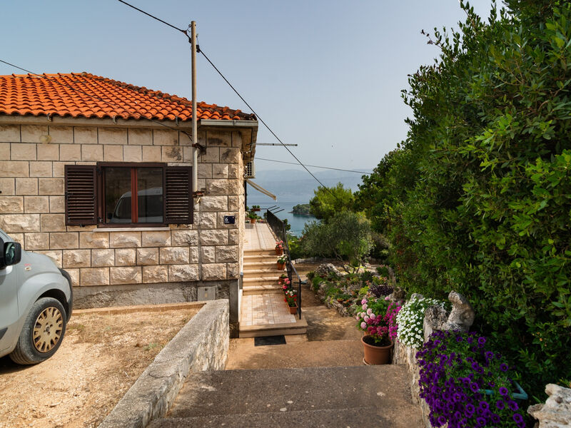 Apartmán Javor